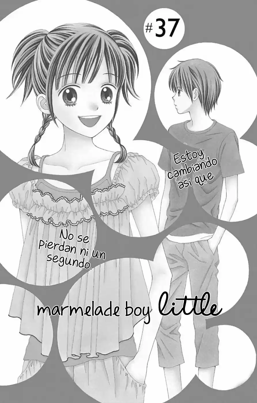 Marmalade Boy Little (2013) - Capítulo 37 - Página 4 - LectorTMOo