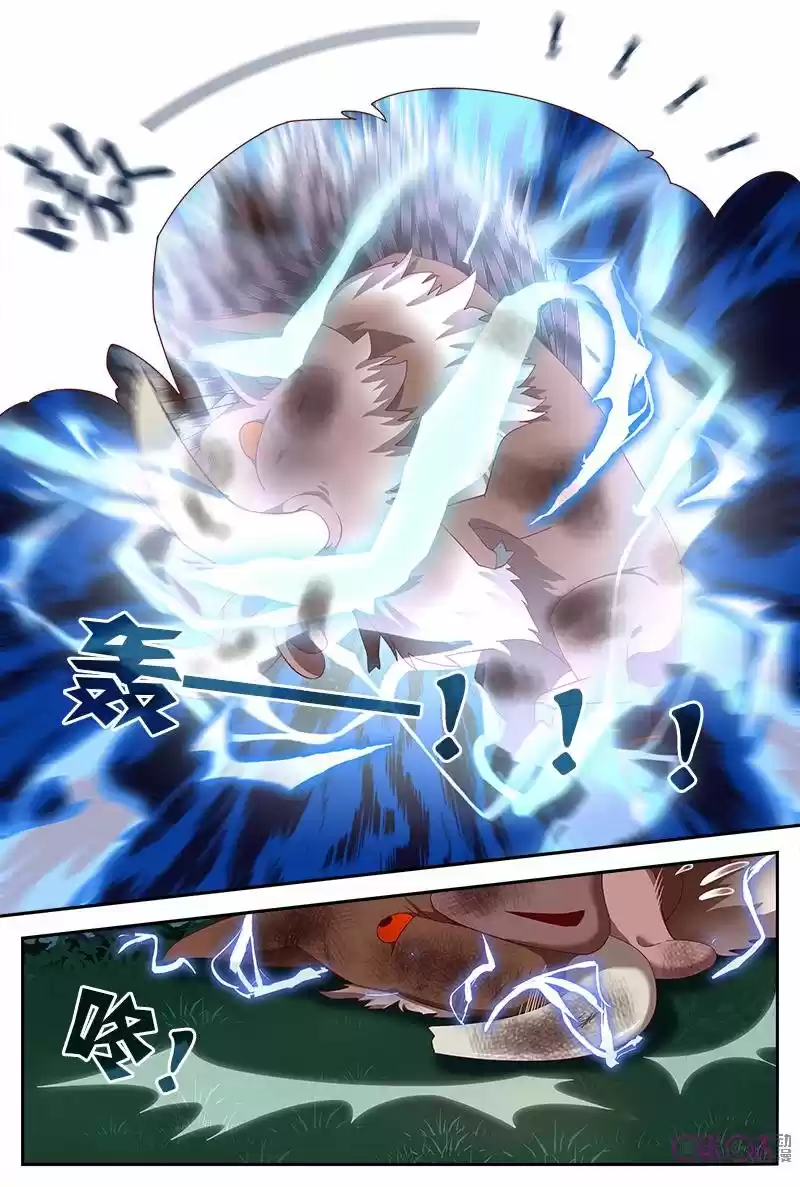 Martial God's Space (2018) - Capítulo 8 - Página 13 - LectorTMOo