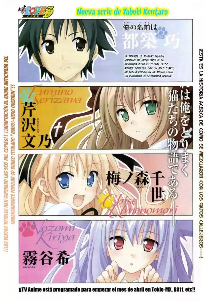 Mayoi Neko Overrun! (2010) - Capítulo 1 - Página 8 - LectorTMOo