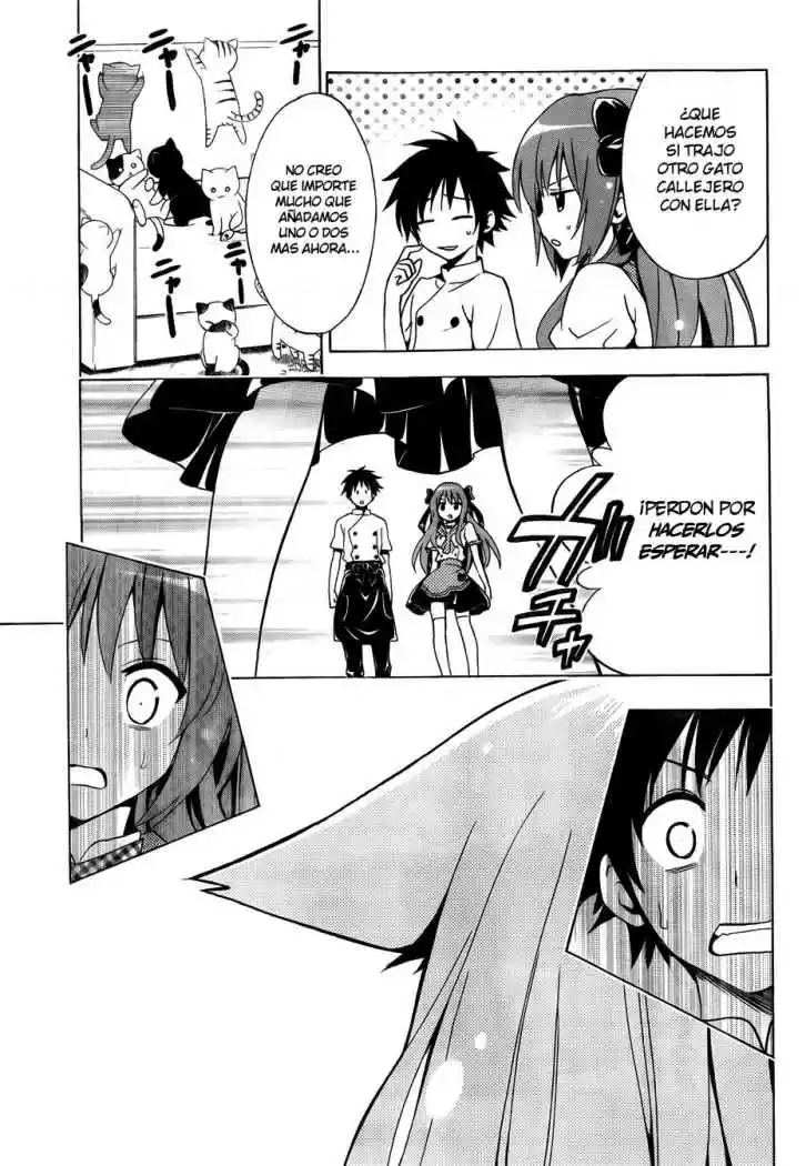 Mayoi Neko Overrun! (2010) - Capítulo 1 - Página 17 - LectorTMOo