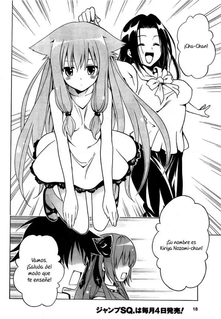 Mayoi Neko Overrun! (2010) - Capítulo 1 - Página 18 - LectorTMOo