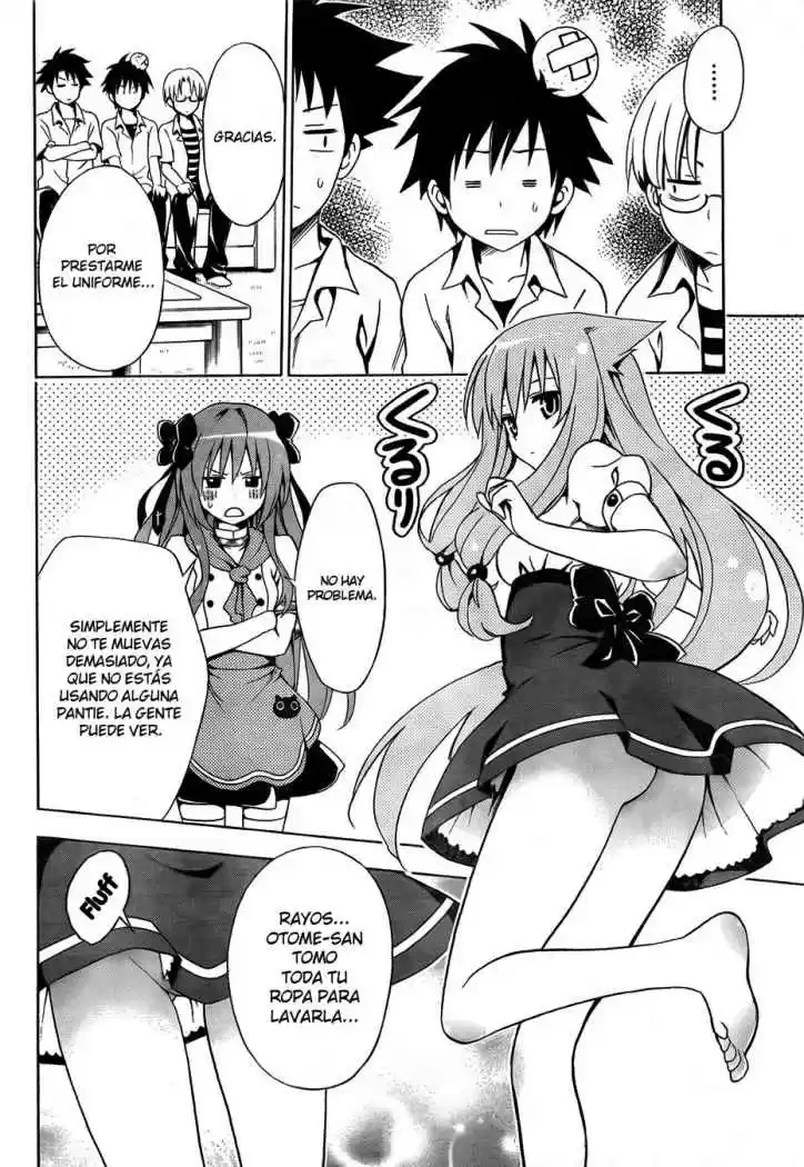 Mayoi Neko Overrun! (2010) - Capítulo 1 - Página 34 - LectorTMOo