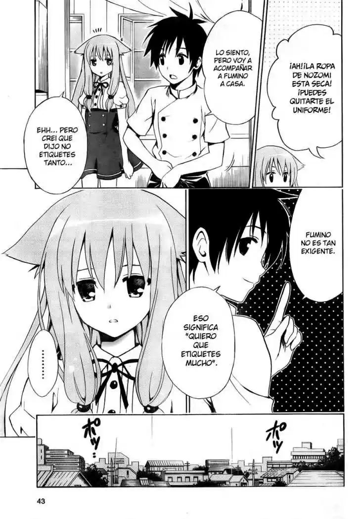 Mayoi Neko Overrun! (2010) - Capítulo 1 - Página 43 - LectorTMOo