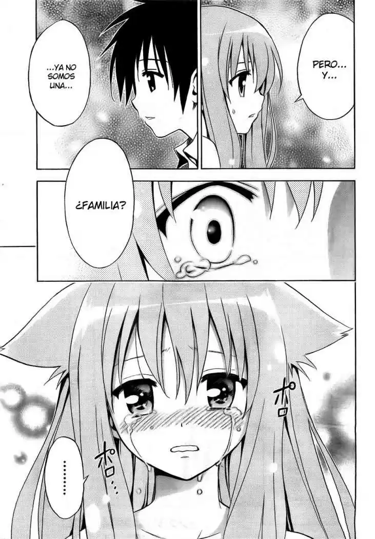 Mayoi Neko Overrun! (2010) - Capítulo 1 - Página 67 - LectorTMOo