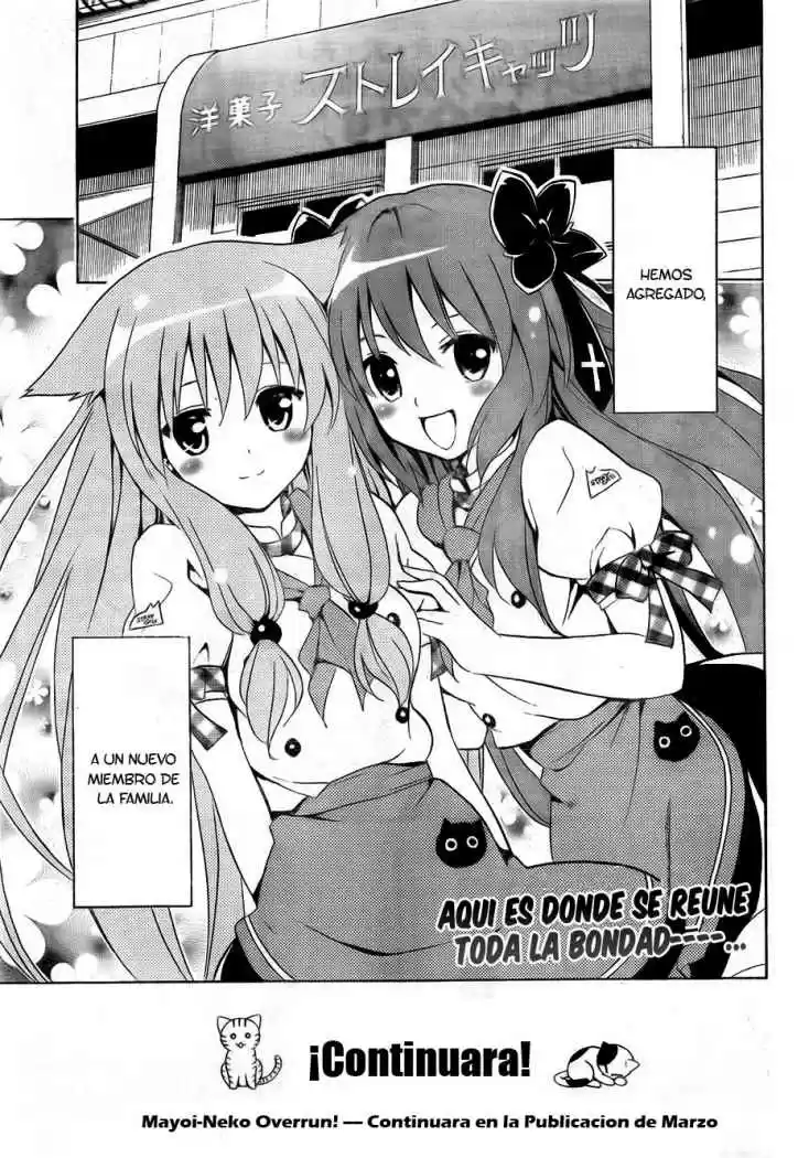 Mayoi Neko Overrun! (2010) - Capítulo 1 - Página 69 - LectorTMOo
