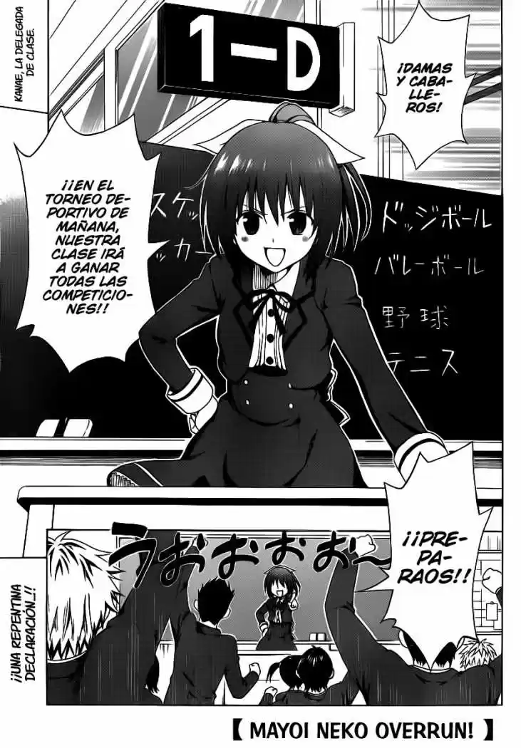 Mayoi Neko Overrun! (2010) - Capítulo 10 - Página 4 - LectorTMOo