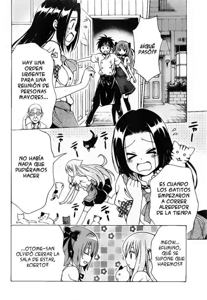 Mayoi Neko Overrun! (2010) - Capítulo 2 - Página 38 - LectorTMOo