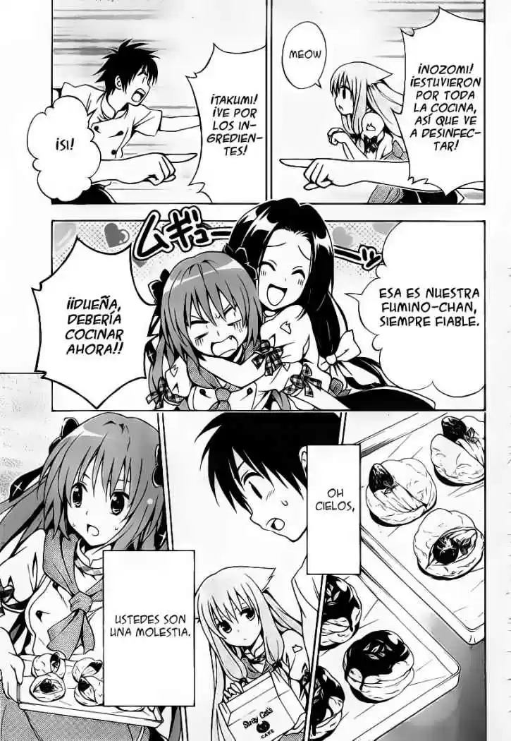 Mayoi Neko Overrun! (2010) - Capítulo 2 - Página 41 - LectorTMOo
