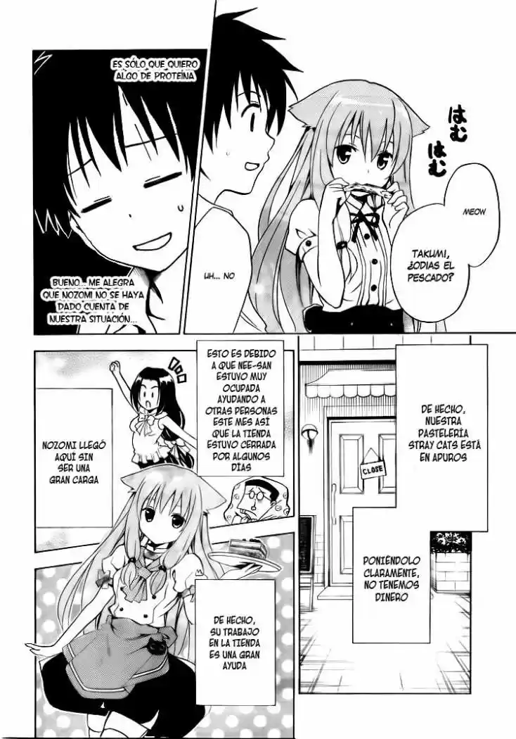 Mayoi Neko Overrun! (2010) - Capítulo 3 - Página 8 - LectorTMOo