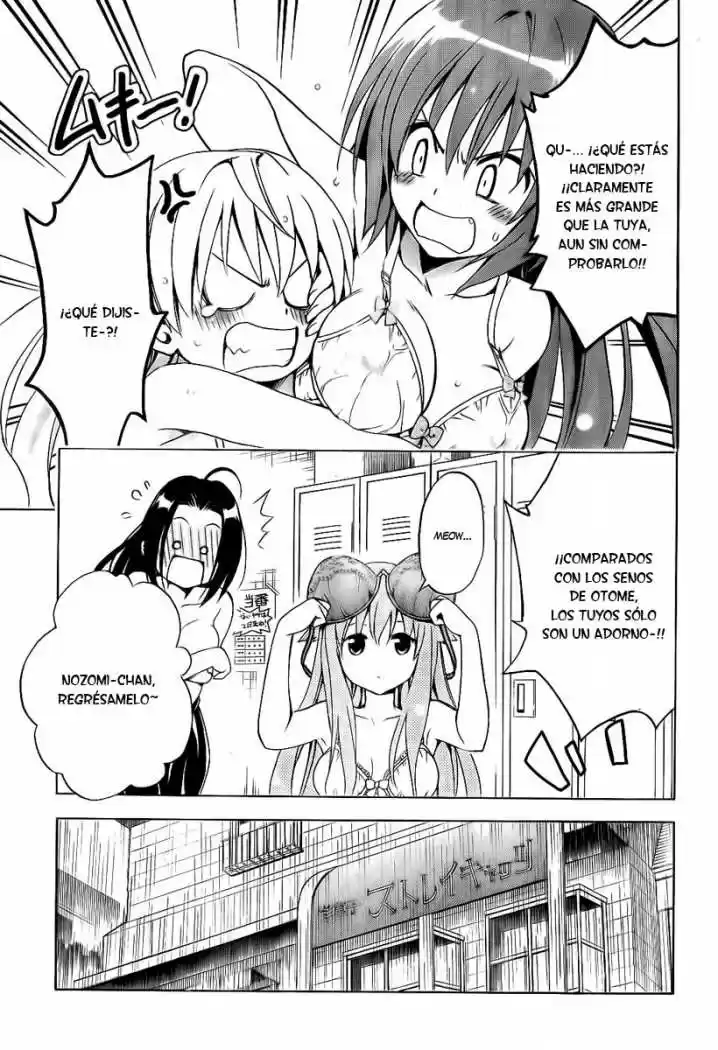 Mayoi Neko Overrun! (2010) - Capítulo 4 - Página 17 - LectorTMOo