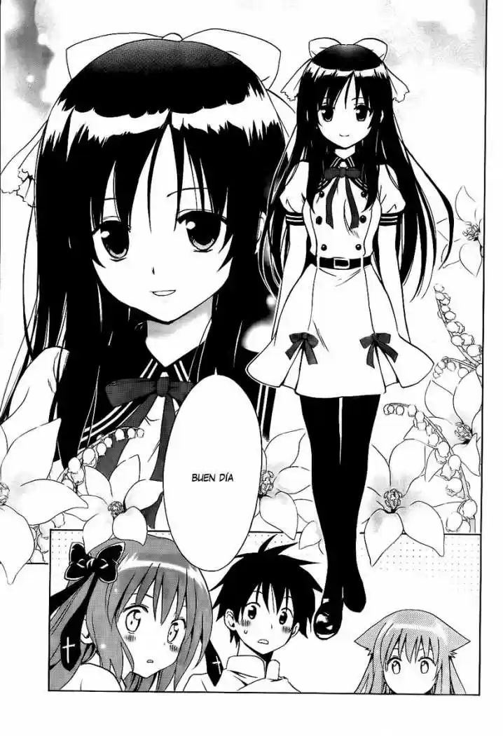 Mayoi Neko Overrun! (2010) - Capítulo 4 - Página 25 - LectorTMOo
