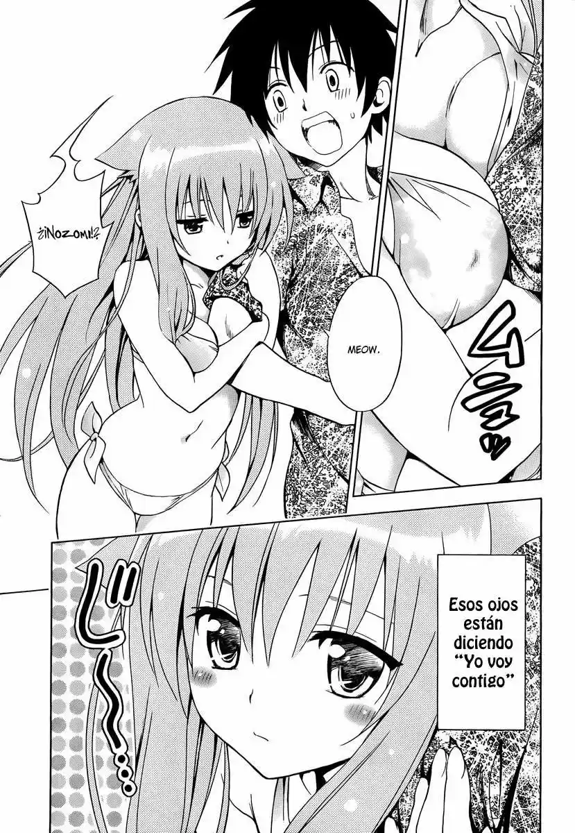 Mayoi Neko Overrun! (2010) - Capítulo 5 - Página 15 - LectorTMOo