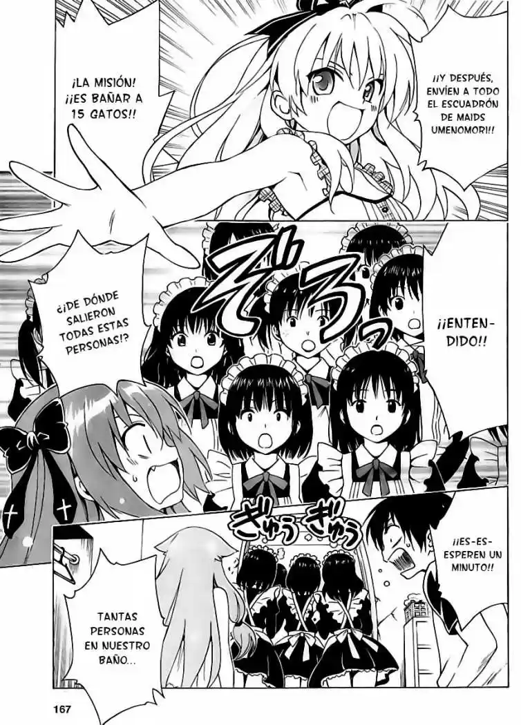 Mayoi Neko Overrun! (2010) - Capítulo 7 - Página 12 - LectorTMOo