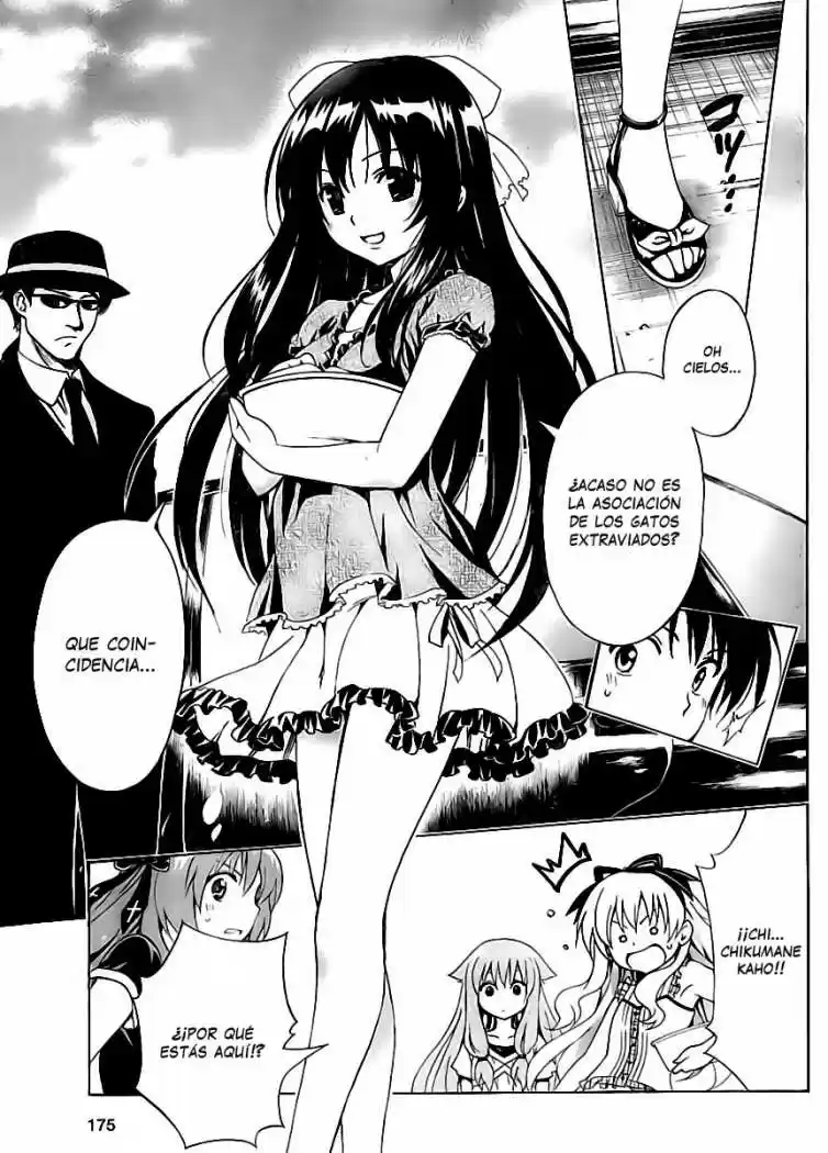 Mayoi Neko Overrun! (2010) - Capítulo 7 - Página 20 - LectorTMOo