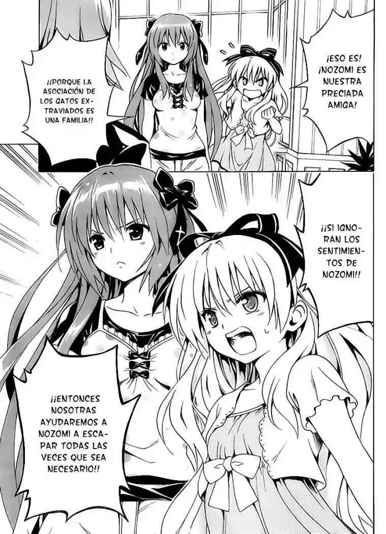 Mayoi Neko Overrun! (2010) - Capítulo 8 - Página 18 - LectorTMOo