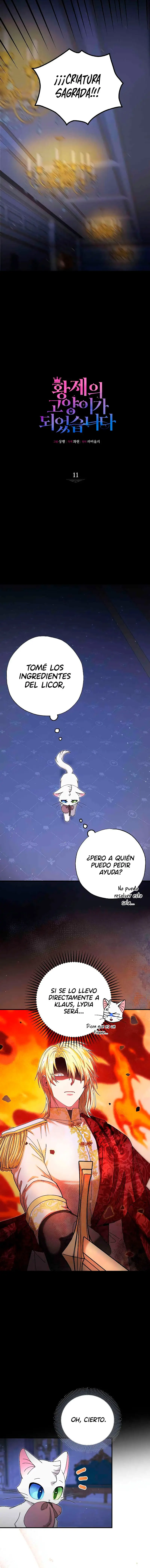 Me convertí en el gato del emperador (2024) - Capítulo 11 - Página 6 - LectorTMOo