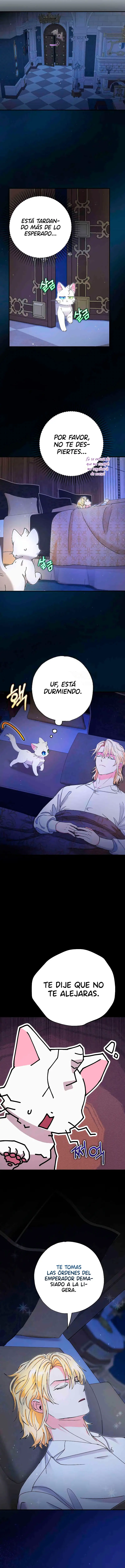 Me convertí en el gato del emperador (2024) - Capítulo 11 - Página 12 - LectorTMOo