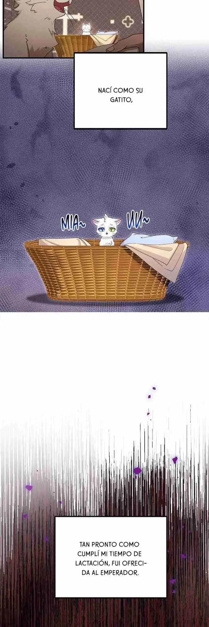 Me convertí en el gato del emperador (2024) - Capítulo 2 - Página 11 - LectorTMOo