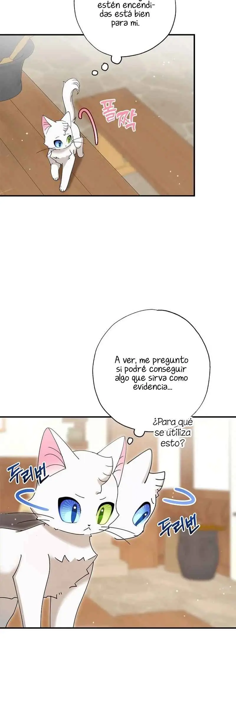 Me convertí en el gato del emperador (2024) - Capítulo 8 - Página 46 - LectorTMOo