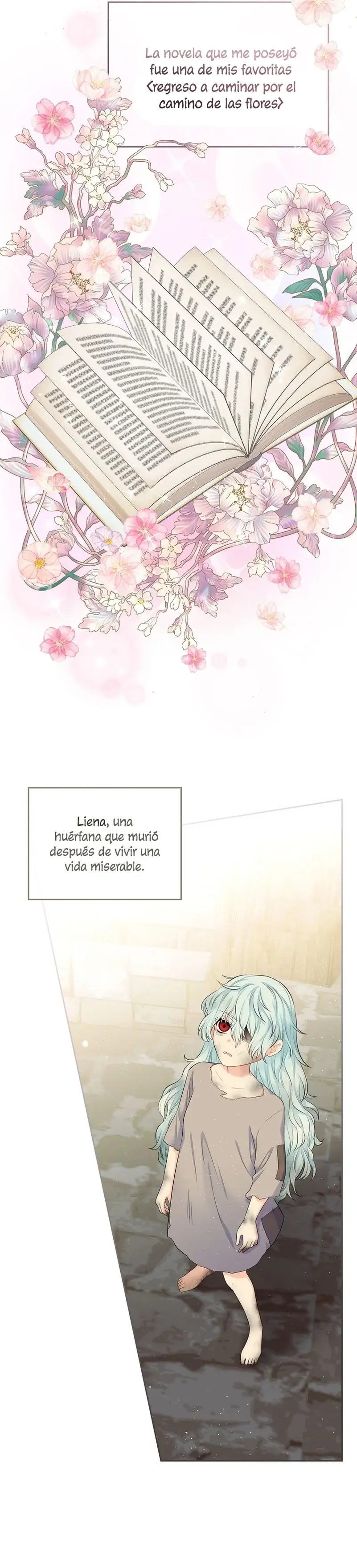 Me divorciaré del hermano Siscon de la protagonista femenina (2023) - Capítulo 1 - Página 16 - LectorTMOo