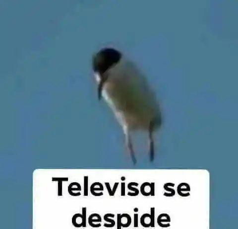 Medidor de amor 100% - Capítulo 4 - Página 46 - LectorTMOo