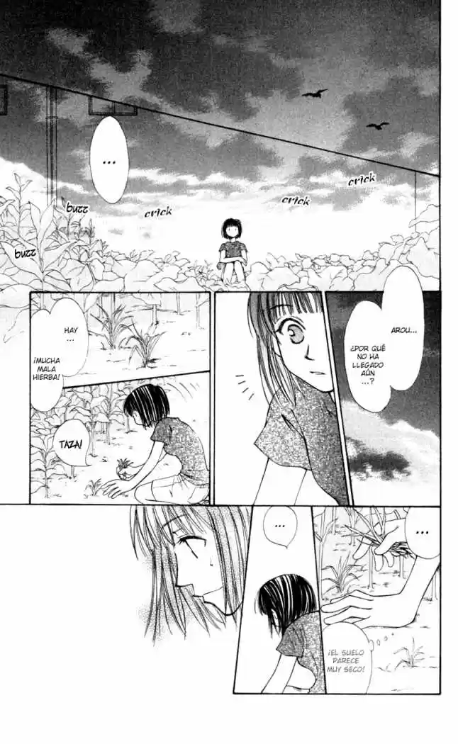 Mekakushi no Kuni (1998) - Capítulo 20 - Página 31 - LectorTMOo