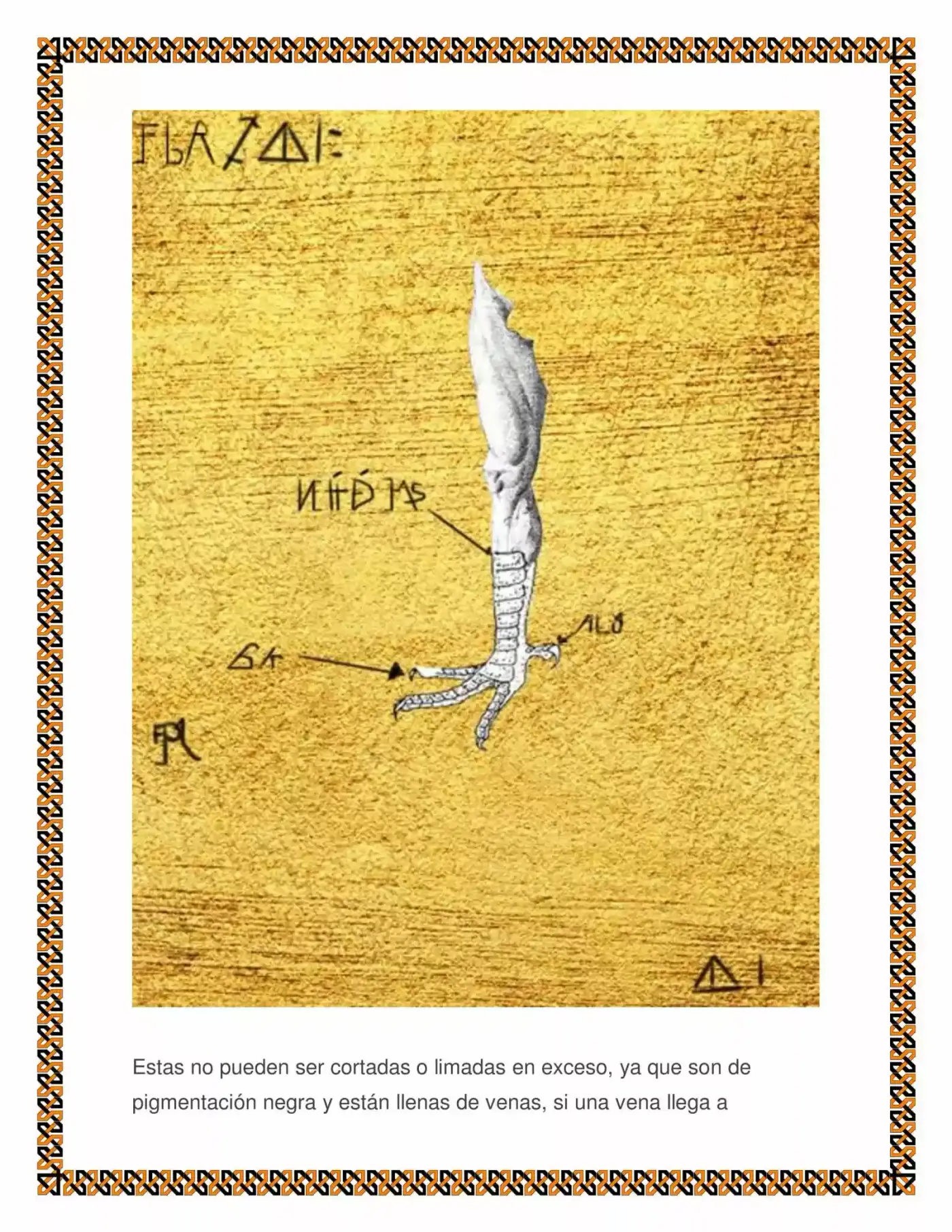 Melody y Modesty, Contra el mundo de fantasía. (2017) - Capítulo 18.5 - Página 11 - LectorTMOo
