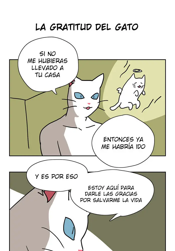 MEOW MAN - Capítulo 1 - Página 11 - LectorTMOo