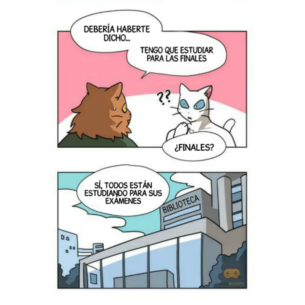 MEOW MAN - Capítulo 16 - Página 10 - LectorTMOo