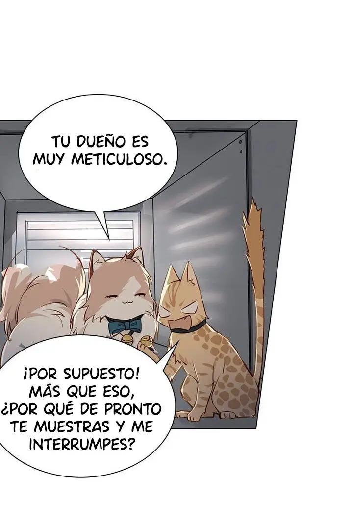 Meow! Please Help, Manager! - Capítulo 16 - Página 42 - LectorTMOo