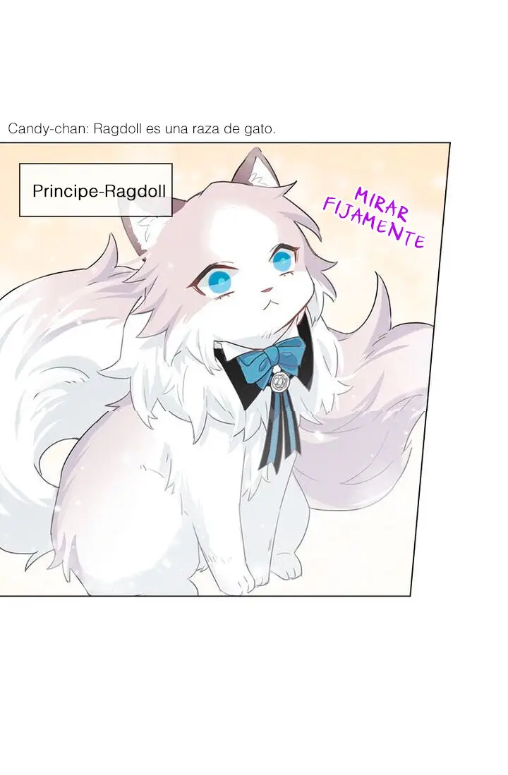 Meow! Please Help, Manager! - Capítulo 2 - Página 33 - LectorTMOo