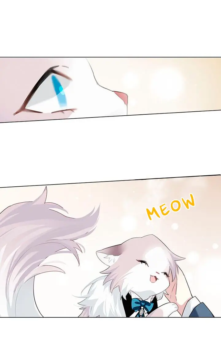 Meow! Please Help, Manager! - Capítulo 2 - Página 43 - LectorTMOo
