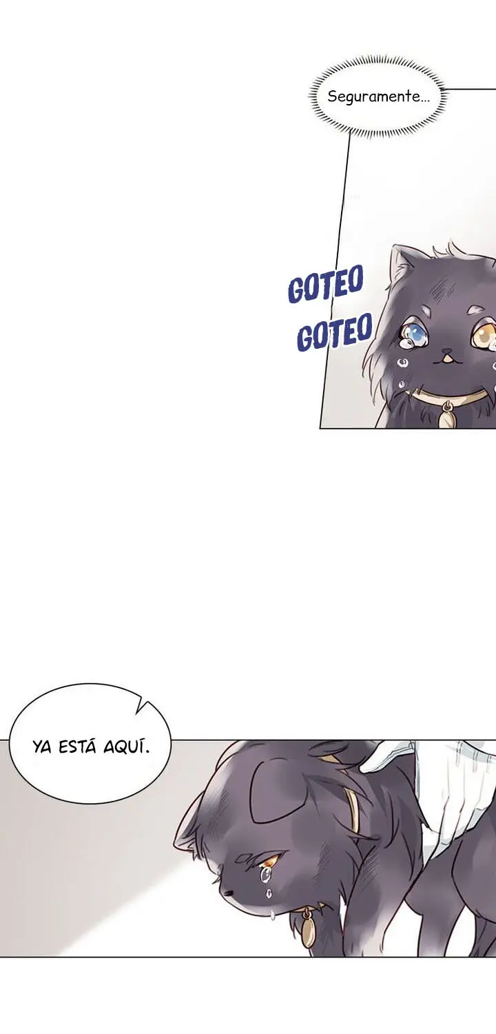 Meow! Please Help, Manager! - Capítulo 4 - Página 39 - LectorTMOo