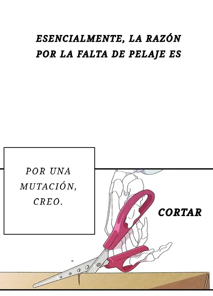 Metamorfosis (2019) - Capítulo 3 - Página 19 - LectorTMOo