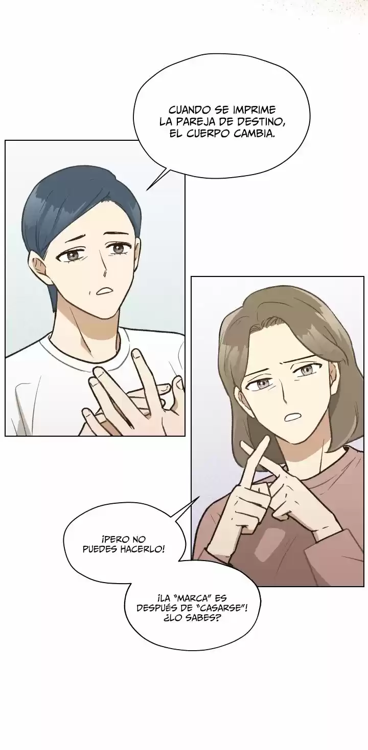 Mi dulce y amargo destino (2021) - Capítulo 3 - Página 31 - LectorTMOo
