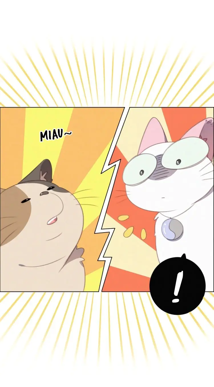 Mi Mascota es un Humano (2018) - Capítulo 33 - Página 52 - LectorTMOo
