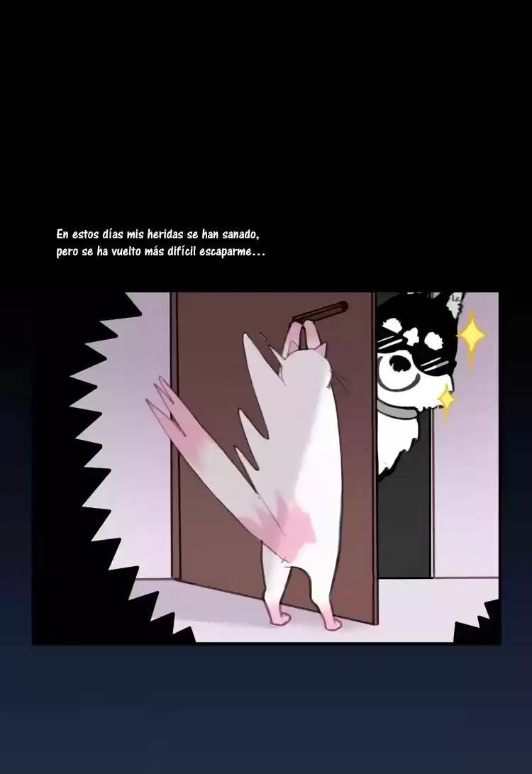 Mi Mascota es un Humano (2018) - Capítulo 6 - Página 5 - LectorTMOo