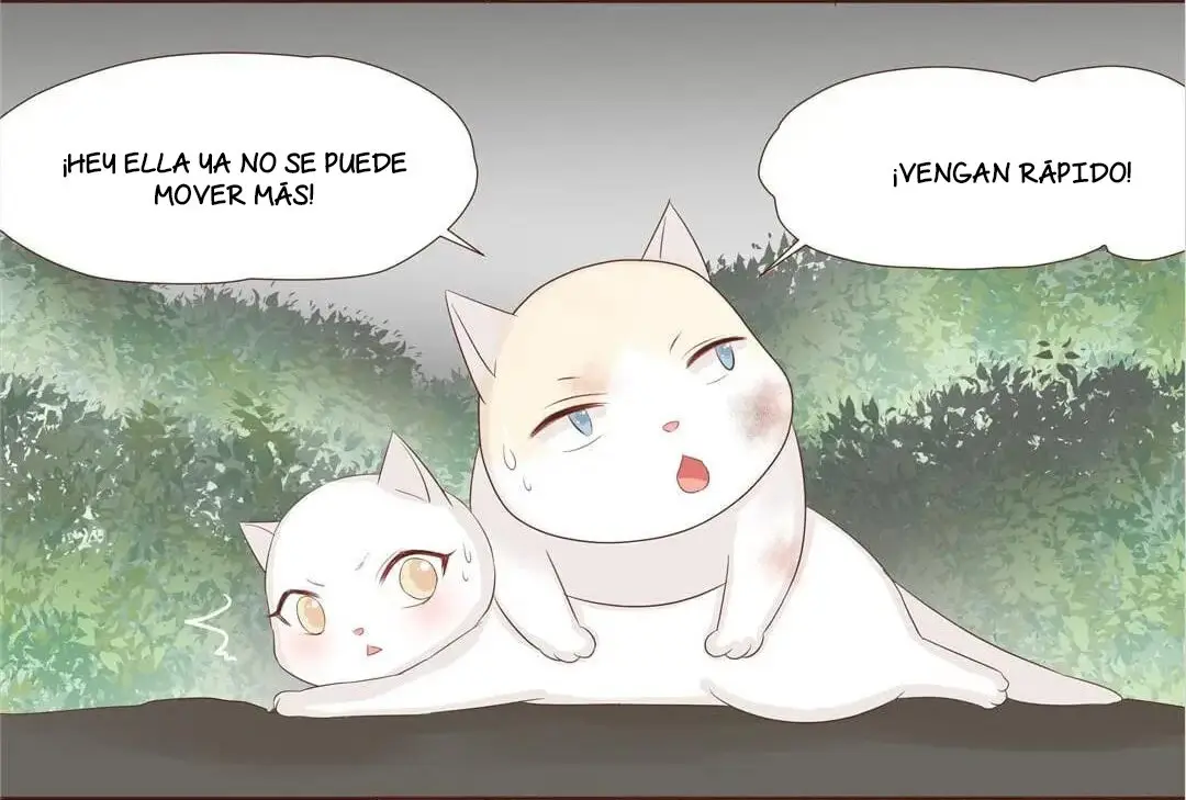 Mi Propio Amor Sólo Me Pertenece A Mí (2019) - Capítulo 23 - Página 34 - LectorTMOo