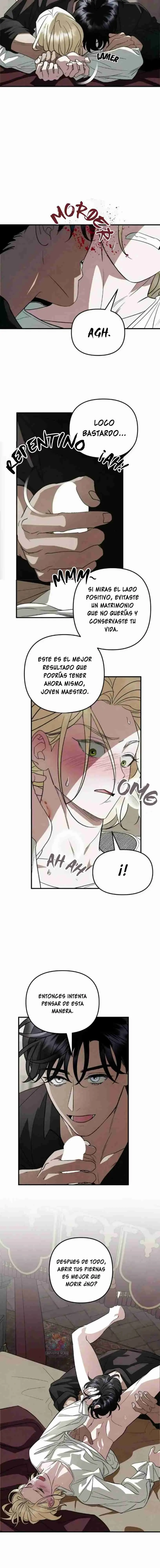 Mi Querido y Joven Maestro (2024) - Capítulo 6 - Página 38 - LectorTMOo