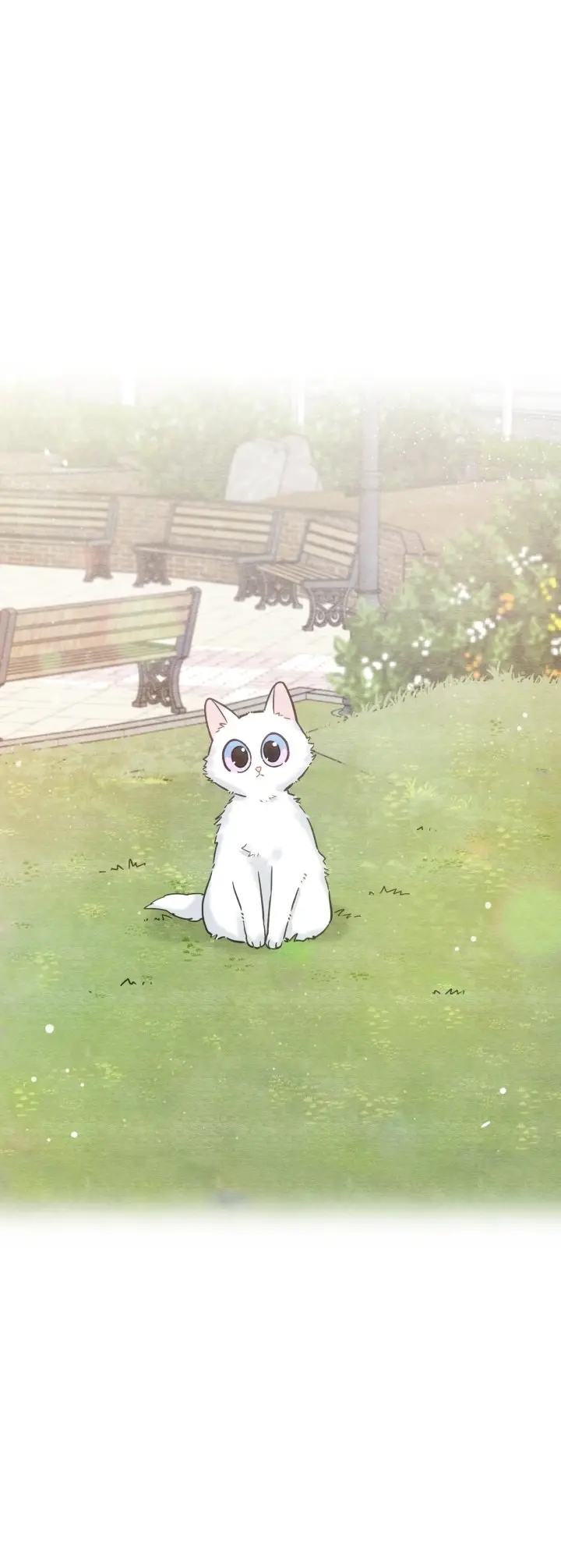 Mi único gato (2019) - Capítulo 10 - Página 11 - LectorTMOo