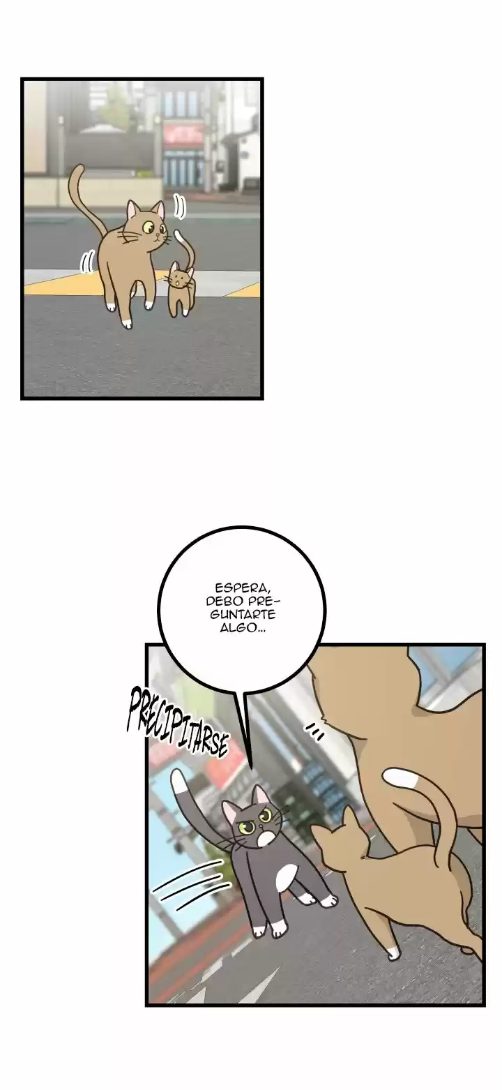 Mi único gato (2019) - Capítulo 21 - Página 5 - LectorTMOo