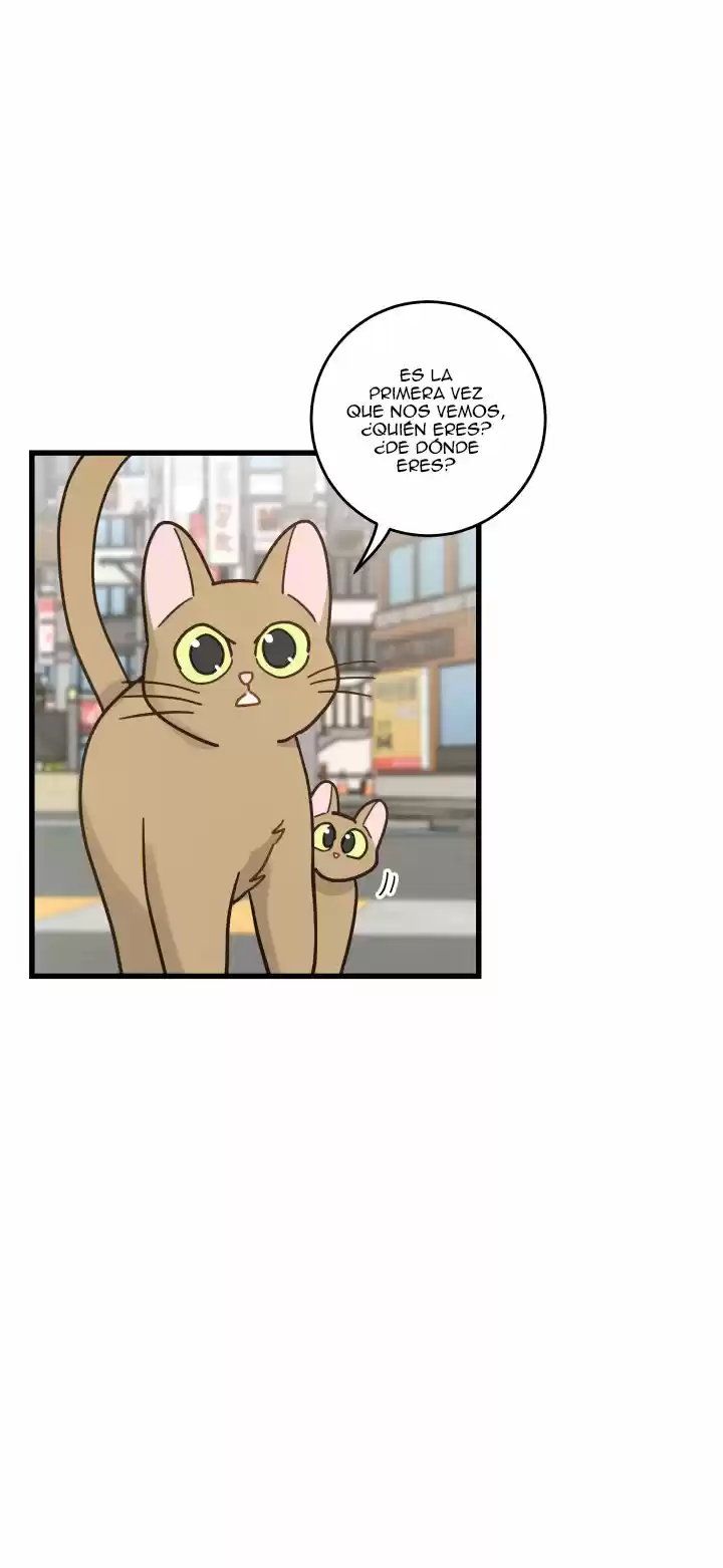 Mi único gato (2019) - Capítulo 21 - Página 6 - LectorTMOo