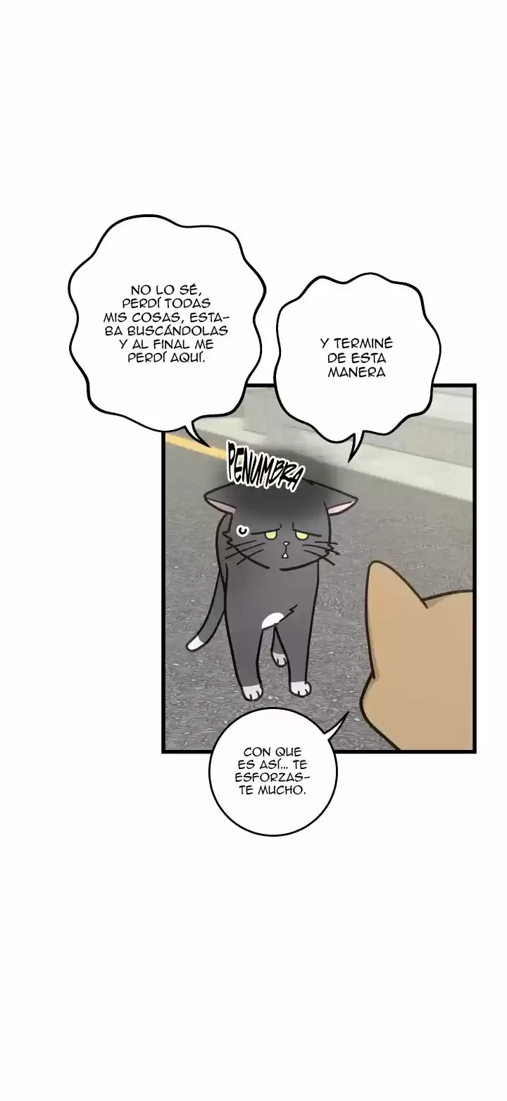 Mi único gato (2019) - Capítulo 21 - Página 7 - LectorTMOo