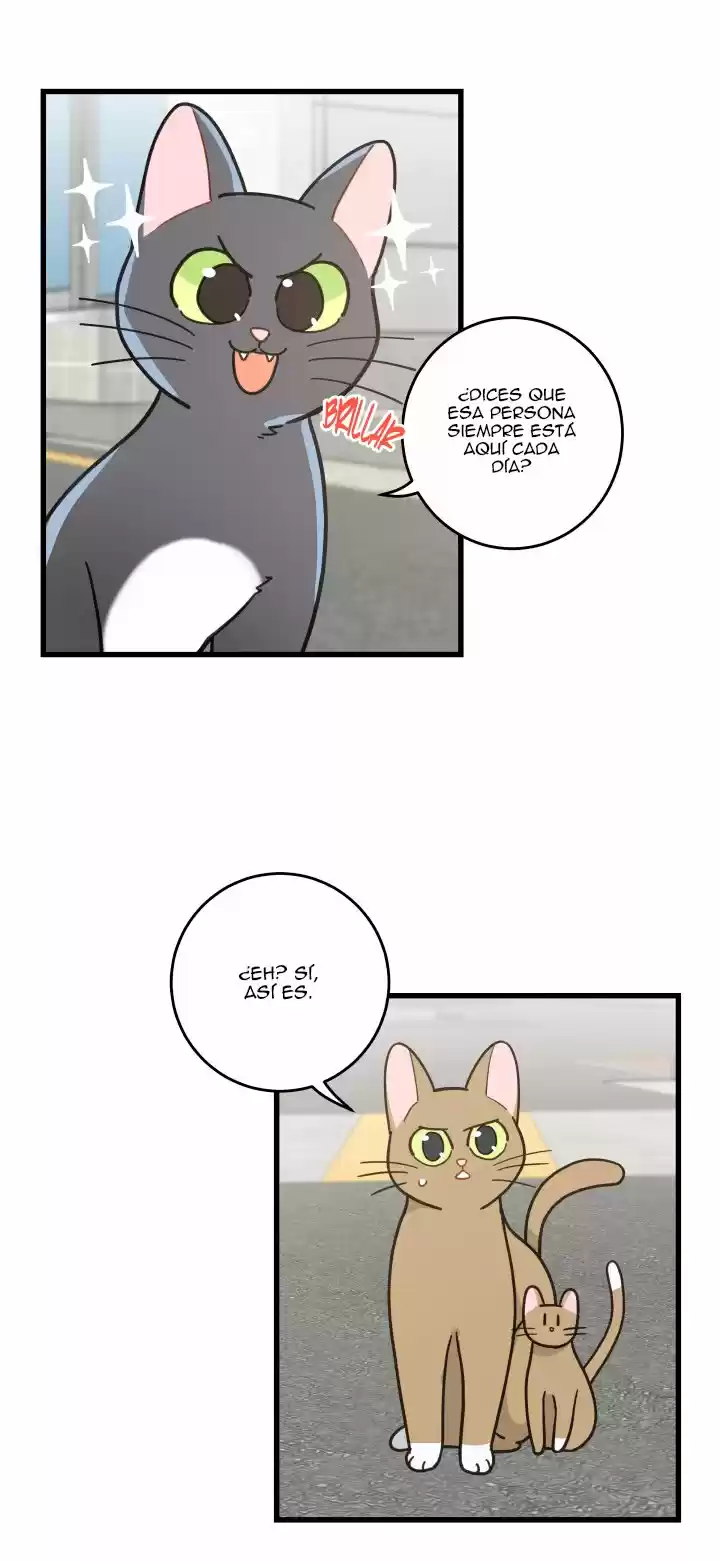 Mi único gato (2019) - Capítulo 21 - Página 9 - LectorTMOo