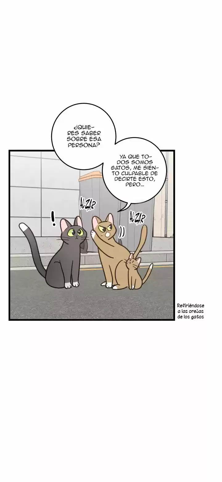 Mi único gato (2019) - Capítulo 21 - Página 10 - LectorTMOo