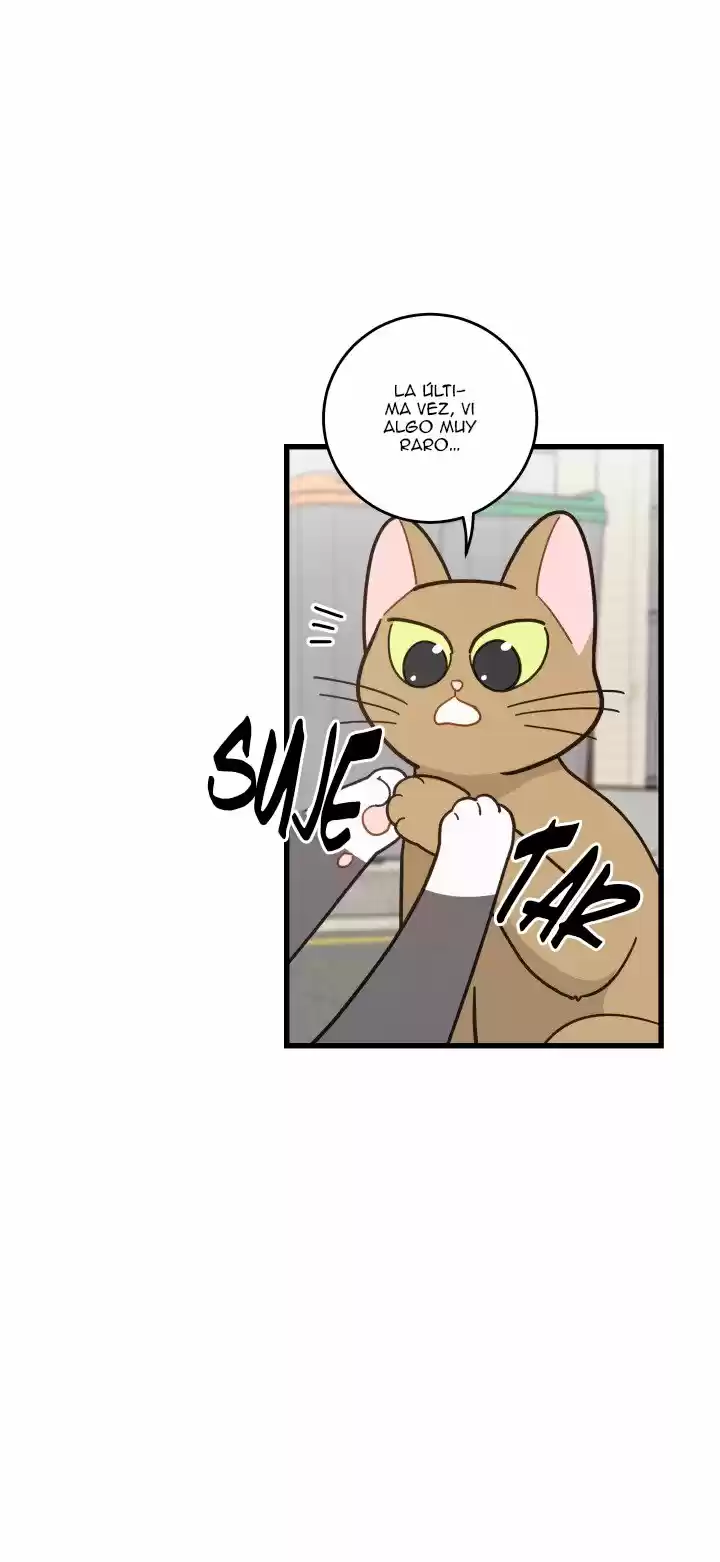Mi único gato (2019) - Capítulo 21 - Página 11 - LectorTMOo