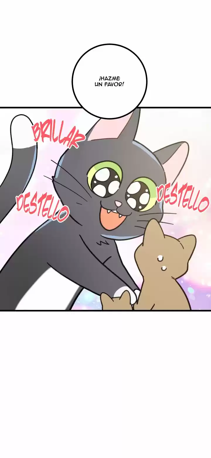 Mi único gato (2019) - Capítulo 21 - Página 12 - LectorTMOo