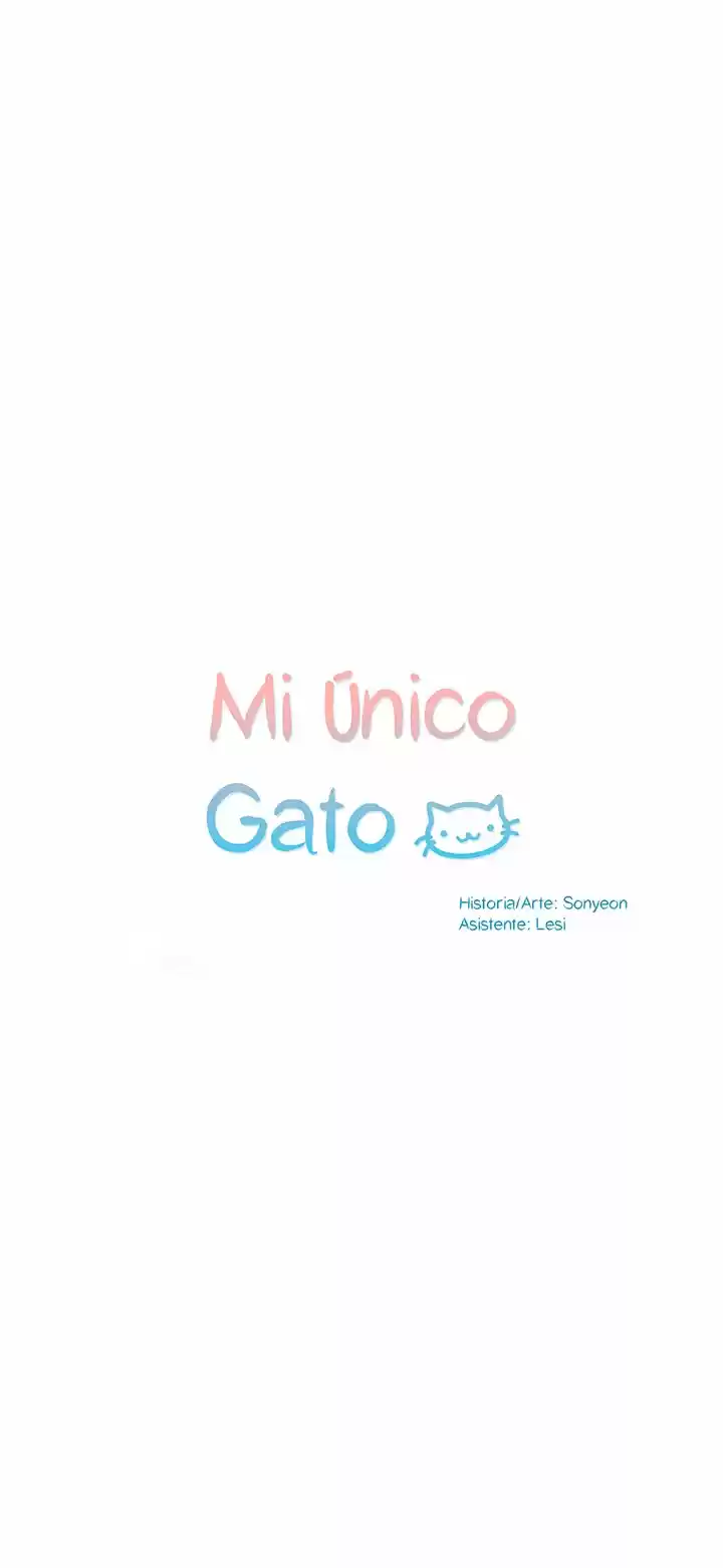 Mi único gato (2019) - Capítulo 21 - Página 13 - LectorTMOo