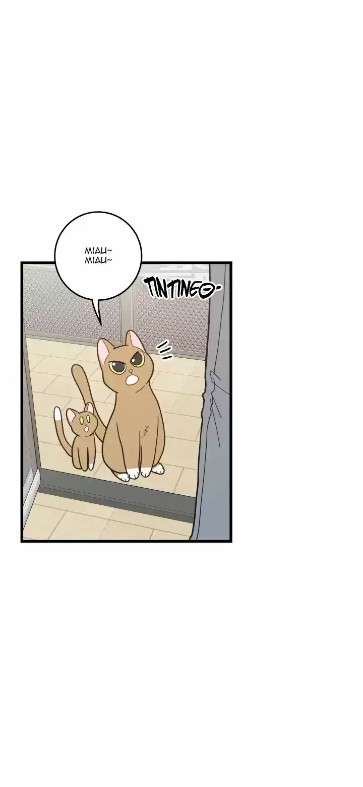 Mi único gato (2019) - Capítulo 21 - Página 16 - LectorTMOo