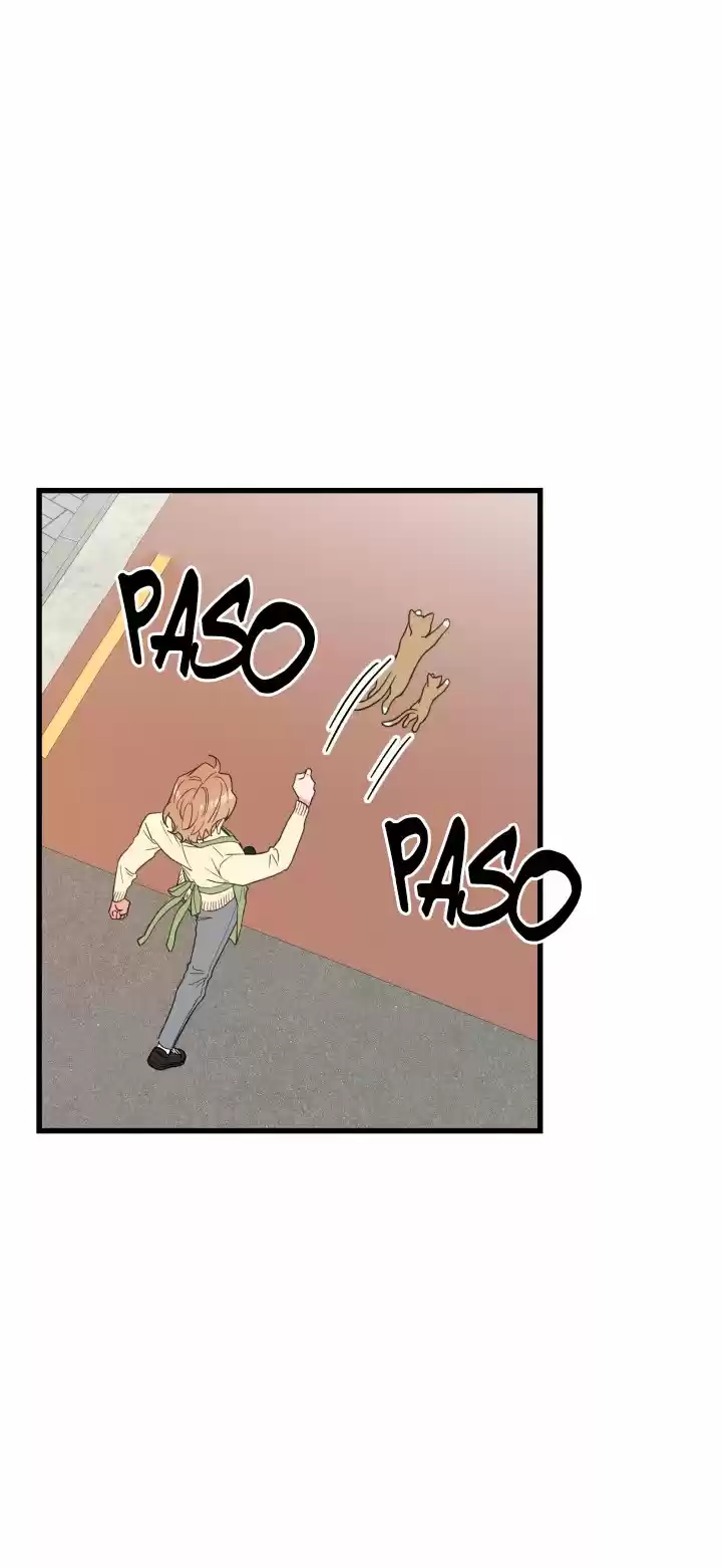 Mi único gato (2019) - Capítulo 21 - Página 19 - LectorTMOo